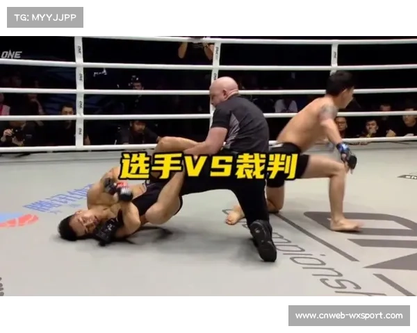 从卡特罗尔争议KO看拳击规则执行：裁判判罚尺度与选手安全